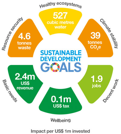 In Search of Impact Report