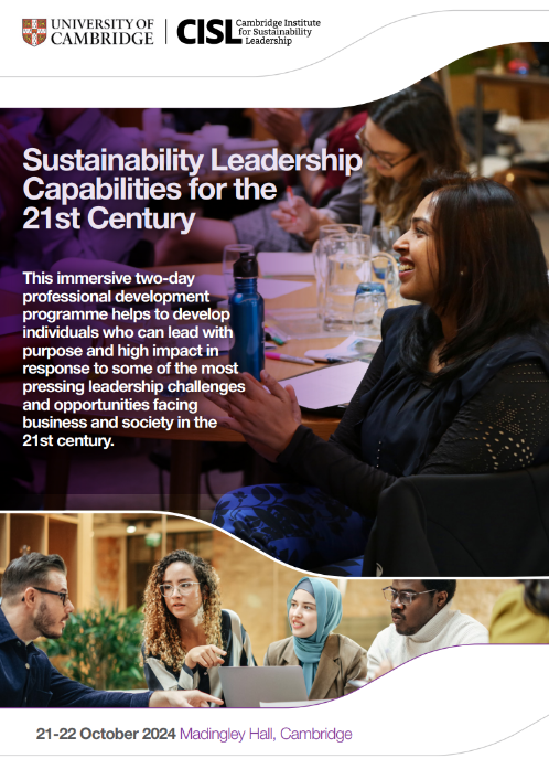 Download the Leadership Capabilities flyer
