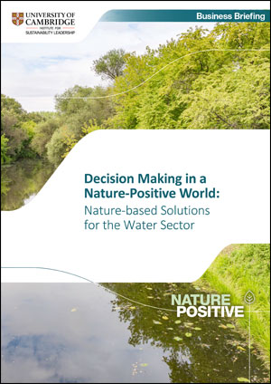Water sector Water sector