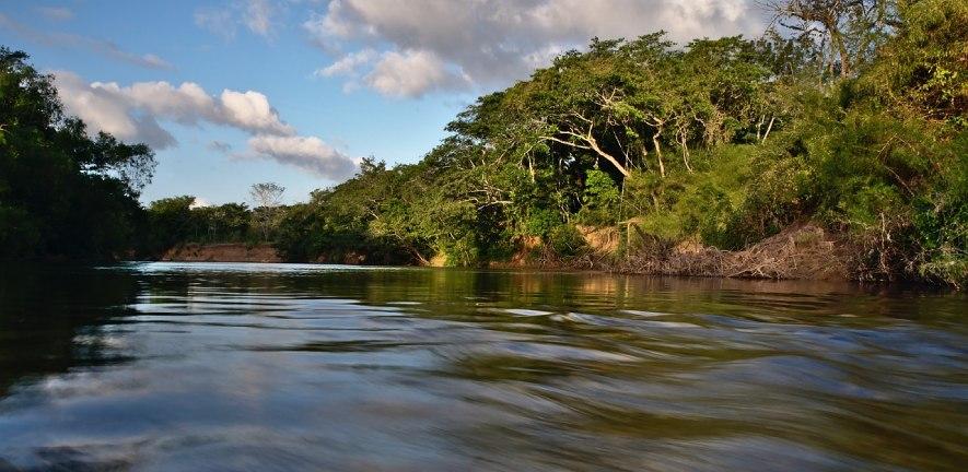 River flowing through forest in Belize
