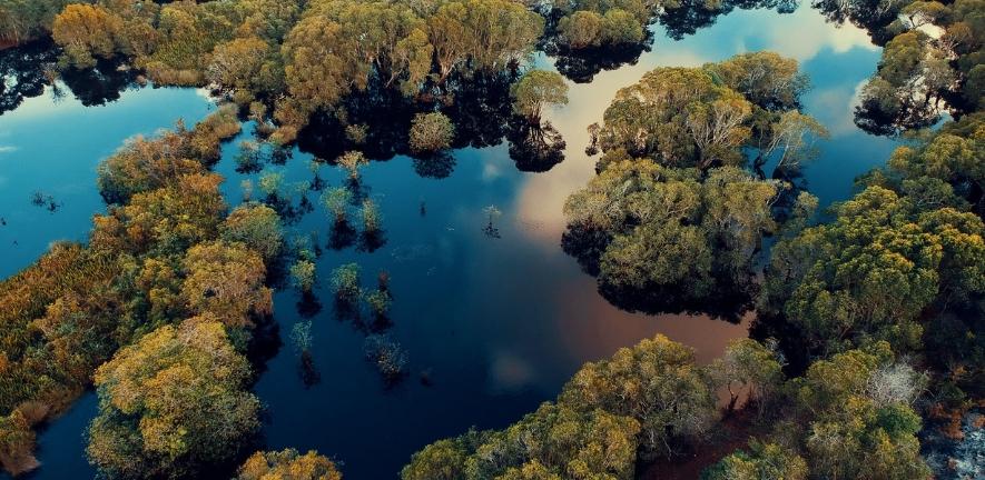 how can businesses overcome financial barriers to investing in nature-based solutions