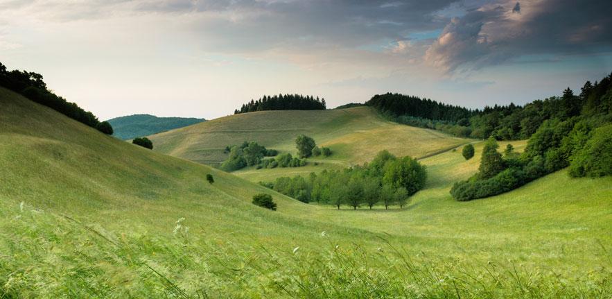 Business for nature