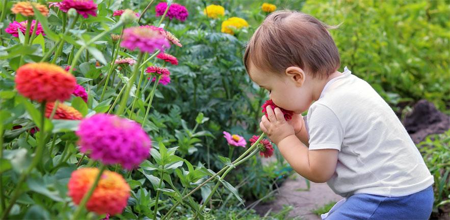 Mother Nature: sharpening our mind to the challenge ahead 